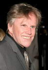 Gary Busey photo